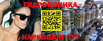 PSILOCYBIN Нальчик