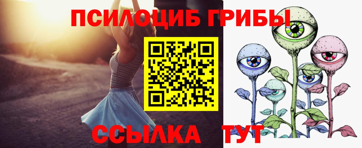 Псилоцибиновые грибы Psilocybine cubensis  закладка  Спасск-Дальний  Вход с VPN  Галлюциногенные грибы ЛСД 